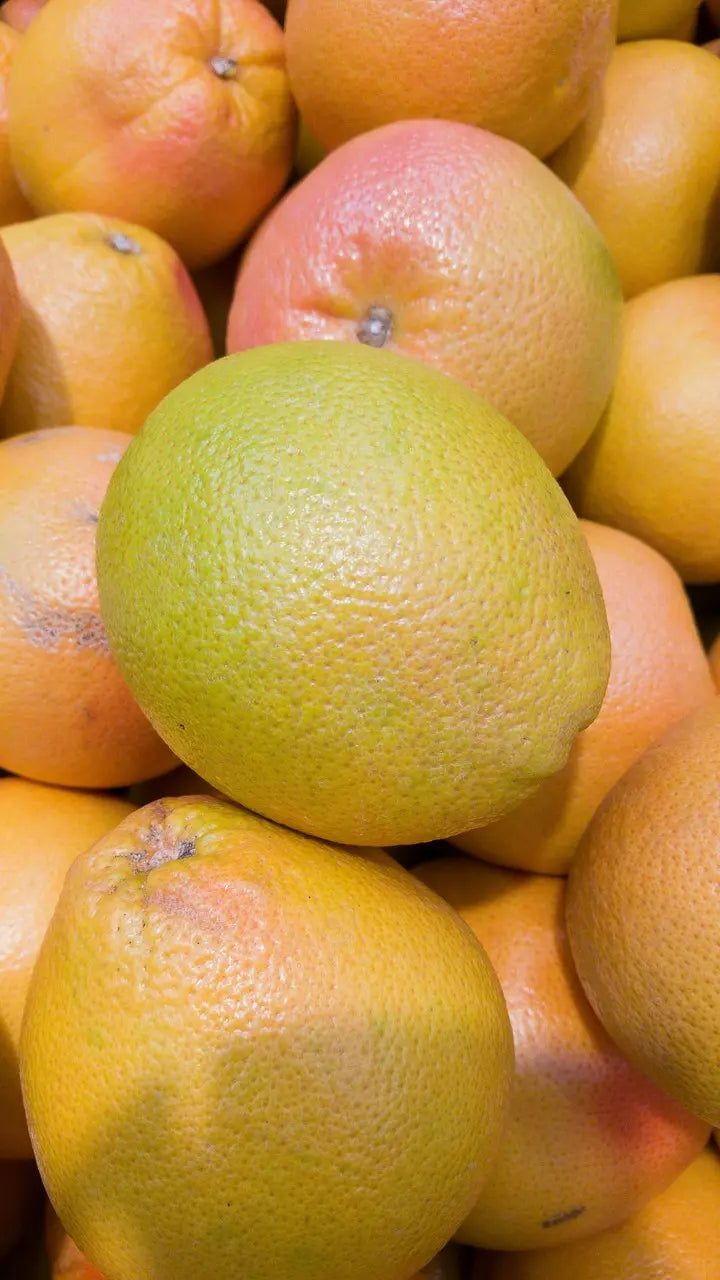 Plant Greffé de Pomelos Star Ruby 1 mètre en Racines-nues